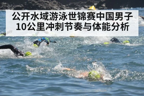 公开水域游泳世锦赛中国男子10公里冲刺节奏与体能分析